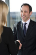 Businessman shaking hands with female client or colleague