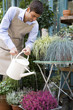 Male florist watering the plant display outside his shop