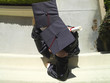 Graduates in caps and gowns in conversation, elevated view