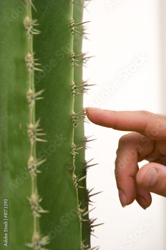 Photo: Man touching cactus needles, close-up Man touching cactus needles, close-up
