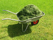 Work in garden