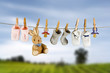 Photo: Socks and rabbit Socks and rabbit