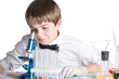 The young scientist