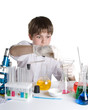 The young scientist