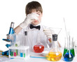 The young scientist