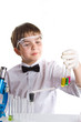 The young scientist