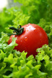Tomato on Lettuce
