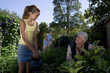 Photo: Family of three gardening, daughter (10-12) and father smiling at each other, low angle view Family of three gardening, daughter (10-12) and father smiling at each other, low angle view