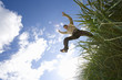 Man jumping from grass outdoors, low angle view