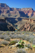GrandCanyon388
