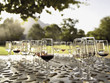 Wine glasses on the table.