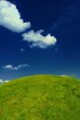 Fresh summer green grass, idyllic hill, deep blue sky
