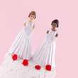lesbian wedding day