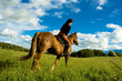 horse