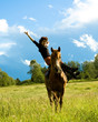 horse
