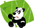 Panda and bamboo