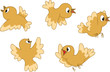 Five birds flying