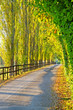 Autumn Avenue 2 Autumn Avenue 2