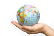 globe