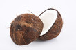 cocco