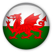 Wales flag button