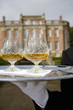 Butler with drinks on tray by manor house, close-up of drinks