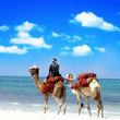 Afrika reise