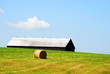Barn & Hay Barn & Hay