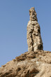 Lot's wife