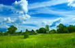 summer landscape background