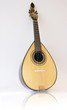 Mandolin Mandolin