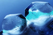 Ice cubes
