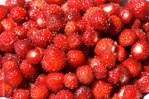 Photo: walderbeeren walderbeeren