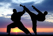 Martial art