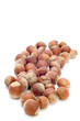 hazel nut  on white
