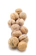 walnut macro