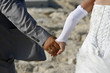 bridegroom and bride