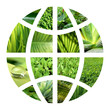 Globe terrestre 4