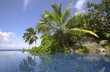 Photo: Swimming pool and palm trees of the Banyan Tree Hotel, Anse Intendance, Mahe', Seychelles Swimming pool and palm trees of the Banyan Tree Hotel, Anse Intendance, Mahe', Seychelles