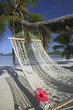Palm Tree with Hibiscus Flower on Hammock at Mahe', Seychelles