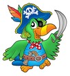 Pirate parrot