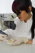 Female dentist examining dentures through a microscope