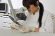Close-up of a female dentist examining dentures through a microscope