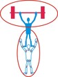 sportifs