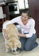 A young girl feeding her dog