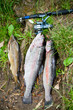 fishing 3