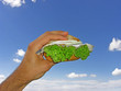 Fischbrötchen***