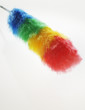 Photo: Close-up of a feather duster Close-up of a feather duster