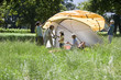 Photo: Multi-generational family assembling orange tent on camping trip in woodland clearing, side view Multi-generational family assembling orange tent on camping trip in woodland clearing, side view