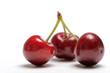 cerises